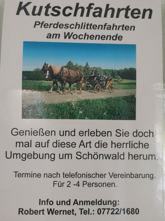 Ferienwohnung Schoene Wohnung 2D-Gebaeude Mit Mini-Garten Schönwalde Exteriör bild